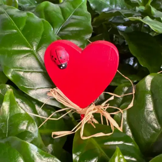 Love Heart Ladybird | Decorative Plant Pot Accessory | Gardening Accessories