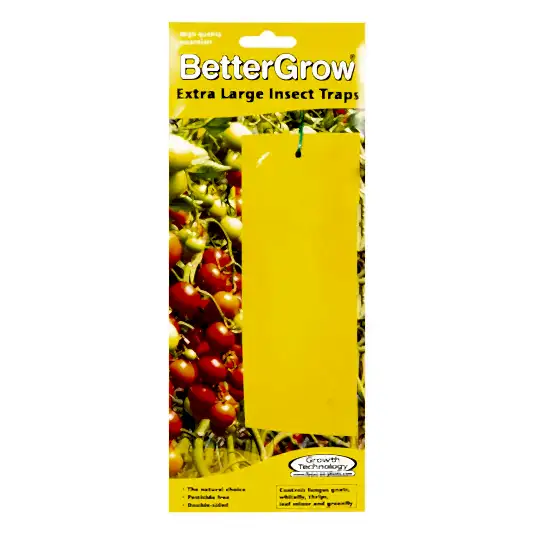 BetterGrow Extra Large Insect Traps | Gardening Accessories