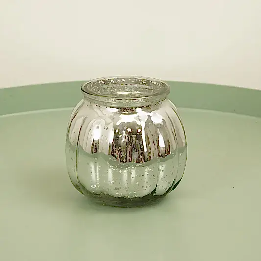 Silver Votive | Potted Houseplants