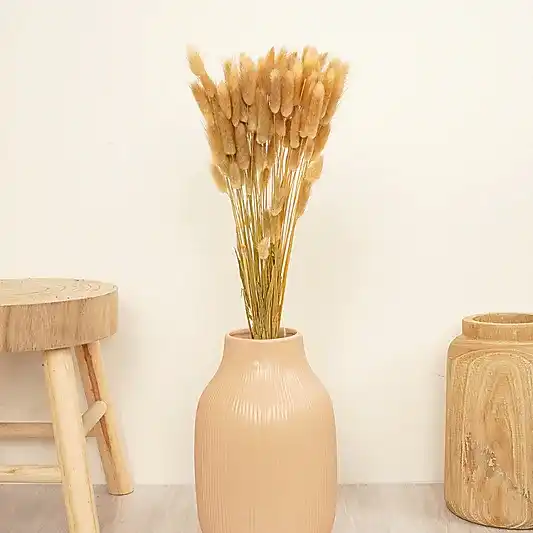 Bunny Tails Bouquet | Natural | Dried Flowers