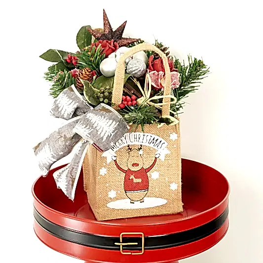Everlasting Gift | Santa's Goodie Bag | Christmas