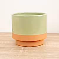 Fondia Pot | Green - Ceramic Plant Pot