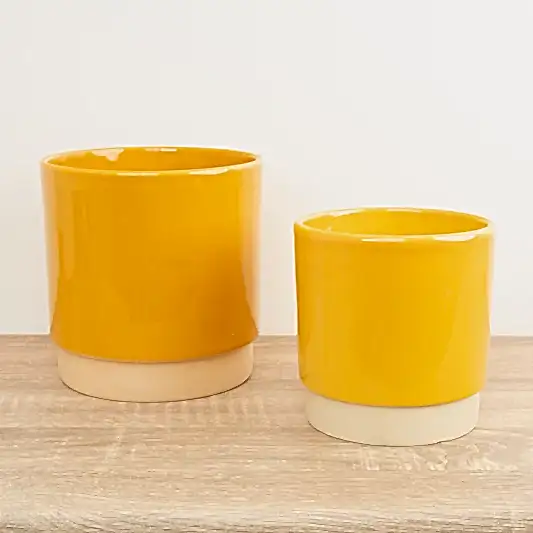 Eno Pot | Mustard | Pots & Planters