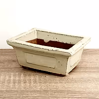 Bonsai Ceramic Pot | Ivory - Ceramic Plant Pot