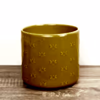 Arley Pot | Bee - Ceramic Plant Pot