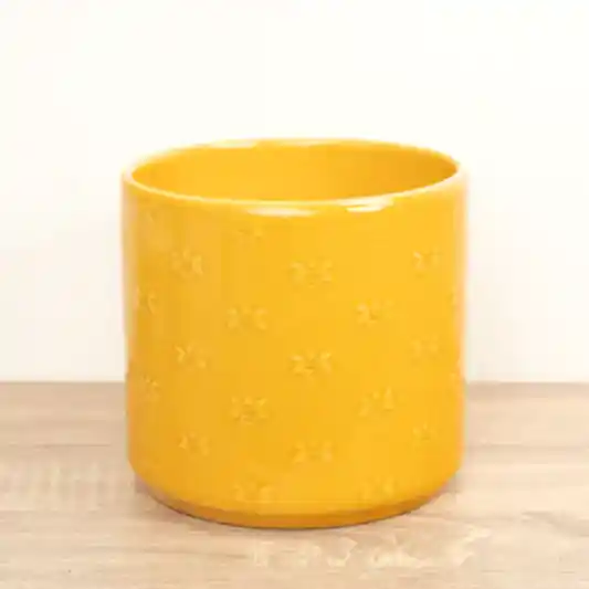 Arley Pot | Bee | Pots & Planters