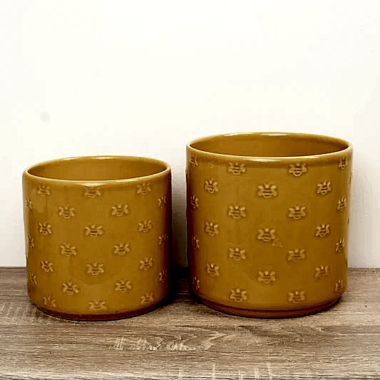 Arley Pot | Bee | Pots & Planters