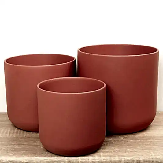 Imperfect! Lisbon Pot | Blush Rose | Pots & Planters