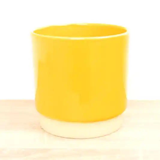 Eno Pot | Mustard | Pots & Planters