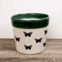 Butterfly Pot | Mint Green - Ceramic Plant Pot