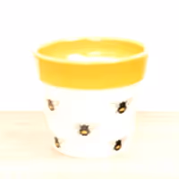 Bumble Bee Pot | Yellow - Ceramic Plant Pot