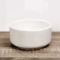 Lucky Bamboo Ceramic Bowl | White - Ceramic Plant Pot