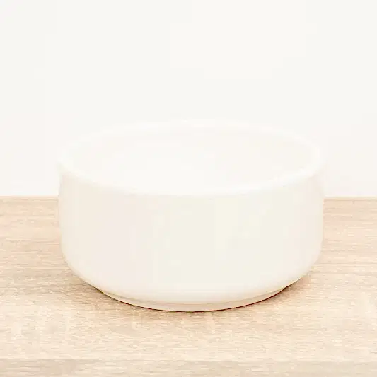 Lucky Bamboo Ceramic Bowl | White | Pots & Planters