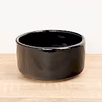 Lucky Bamboo Ceramic Bowl | Black - Ceramic Plant Pot