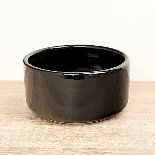 Lucky Bamboo Ceramic Bowl | Black | Pots & Planters