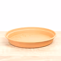 Round Saucer | Terracotta - Plastic Saucer