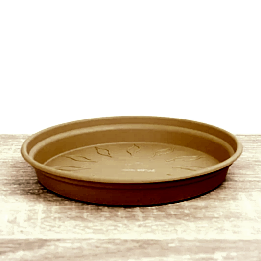 Round Saucer | Terracotta | Pots & Planters