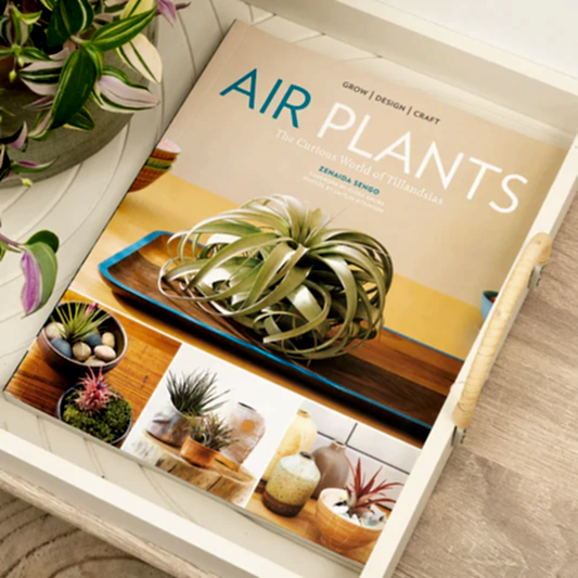 Air Plants: The Curious World of Tillandsias by Zenaida Sengo | Books