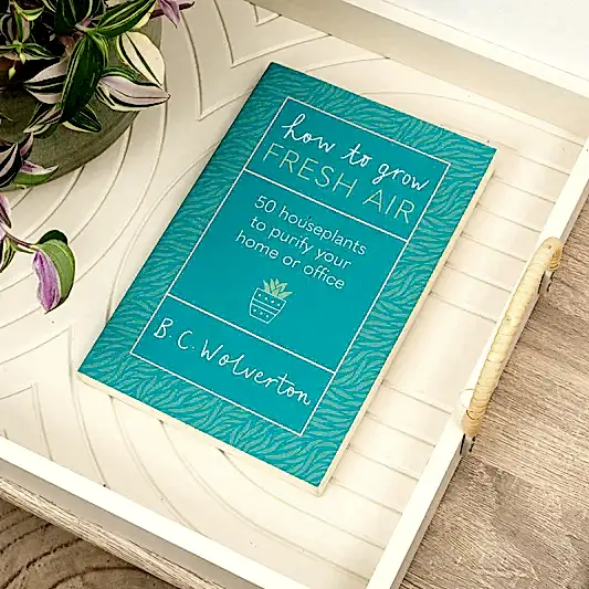 How to Grow Fresh Air - 50 Houseplants to Purify Your Home or Office by B. C. Wolverton | Books