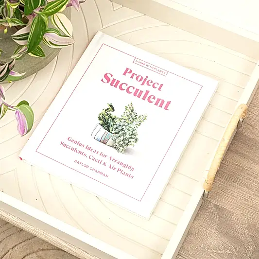 Project Succulent - Genius Ideas for Arranging Succulents, Cacti and Air Plants by Baylor Chapman | Books