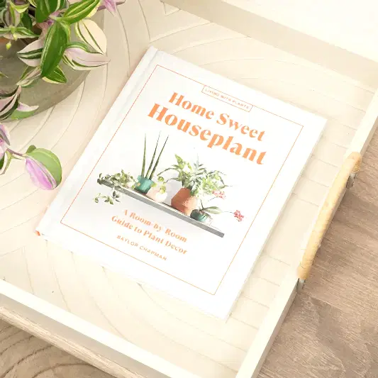 Home Sweet Houseplant: A Room-by-Room Guide to Plant Decor by Baylor Chapman | Books