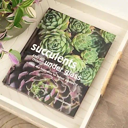 Succulents and All Things Under Glass - Ideas and Inspiration for Indoor Gardens | Books