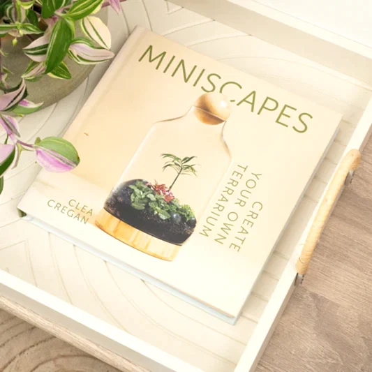 Miniscapes - Create Your Own Terrarium by Clea Cregan | Books