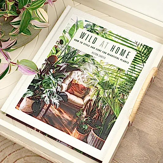 Wild Interiors by Hilton Carter | Books