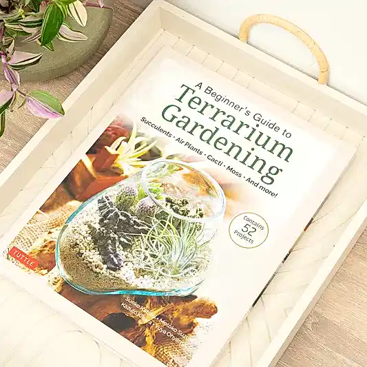 A Beginner's Guide to Terrarium Gardening, Succulents, Air Plants, Cacti, Moss and more! | Books