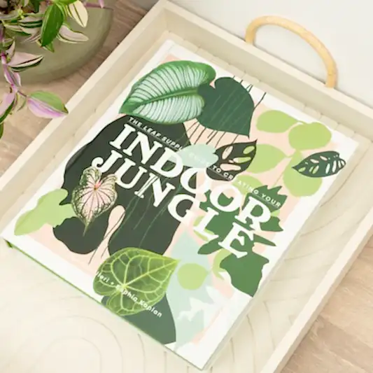 The Leaf Supply Guide to Creating Your Indoor Jungle by Lauren Camilleri and Sophia Kaplan | Books