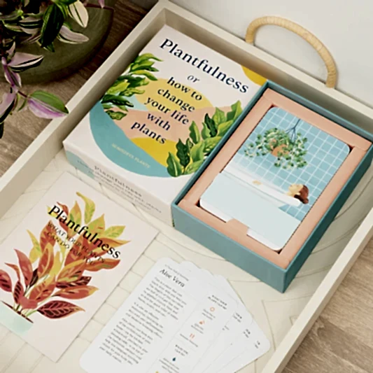 Plantfulness: How to Change Your Life With Plants by Julia Rose Bower | Books