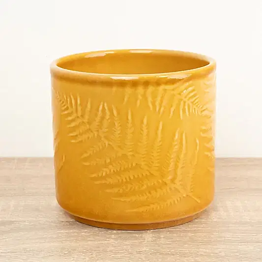 Orla Glazed Fern Pot | Mustard | Pots & Planters