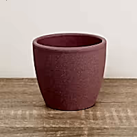 Pastel Ceramic Pot | Rose Pink - Ceramic Plant Pot