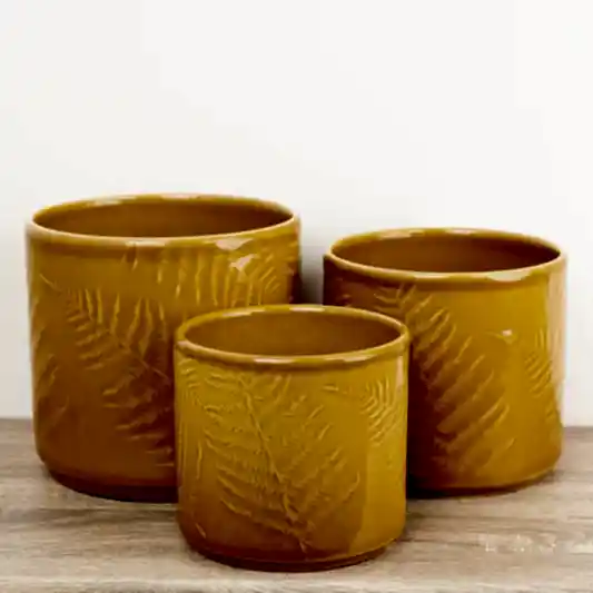 Orla Glazed Fern Pot | Mustard | Pots & Planters