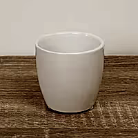 Plain Jane Pot | White - Ceramic Plant Pot