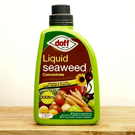 Doff Liquid Seaweed Concentrate Plant Food 1L | Fertilizers