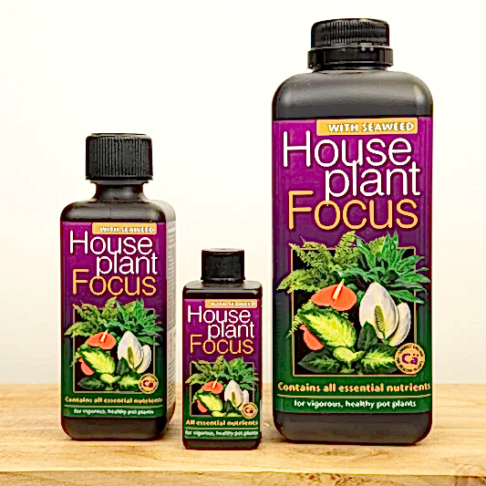 Houseplant Focus  - Plant Food | Fertilizers