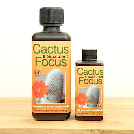 Cactus & Succulent Focus  - Plant Food | Fertilizers