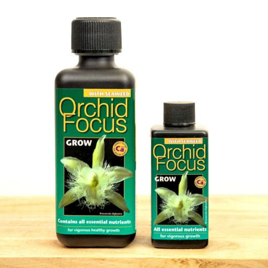 Orchid Focus Grow - Plant Food | Fertilizers
