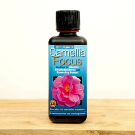 Camellia, Azalea & Rhododendron Focus 300ml  - Plant Food | Fertilizers