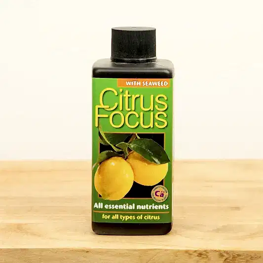Citrus Focus - Plant Food | Fertilizers