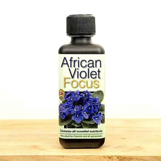 African Violet Focus Plant Food | Fertilizers