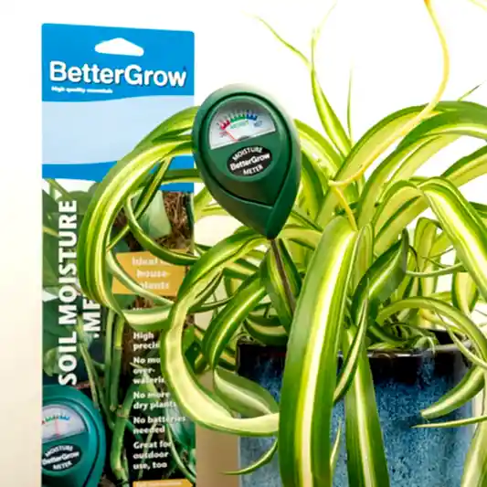Bettergrow Soil Moisture Meter | Gardening Tools