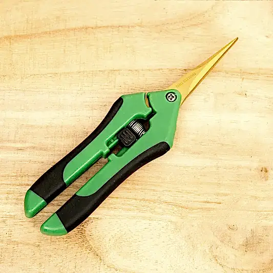 Bettergrow Pruning Scissors (Straight Blade) | Gardening Tools