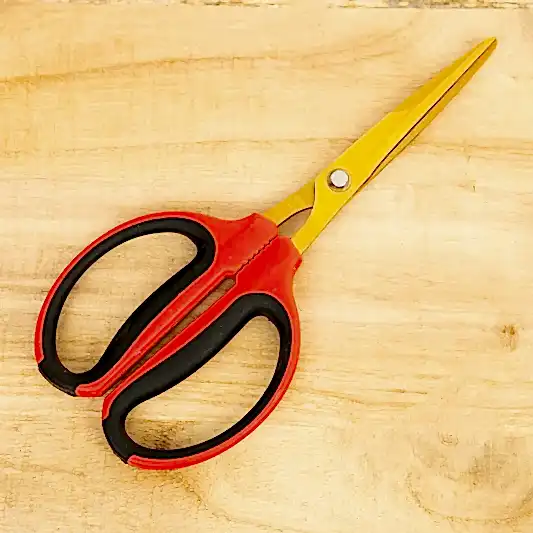 Bettergrow Bonsai Pruning Scissors | Bonsai Care | Gardening Tools