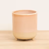 Jolie Rose Matte Reactive Pot with Feet - Ceramic Plant Pot