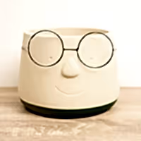 Happy Plant Pot with Glasses | Green - Unique Plant Pot