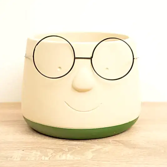 Happy Plant Pot with Glasses | Green | Pots & Planters