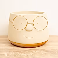 Happy Plant Pot with Glasses | Gold - Unique Plant Pot