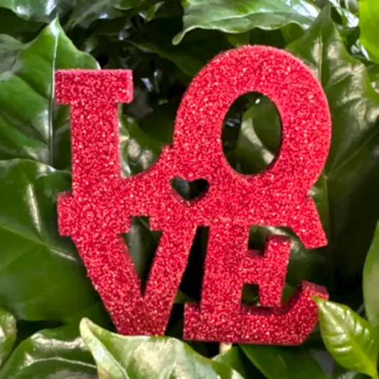 Sparkle Red Love | Decorative Plant Pot Accessory | Gardening Accessories